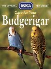 collinscarebudgie.jpg (5998 bytes)