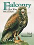 falconry.jpg (3486 bytes)