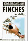 finchdennis.gif (15877 bytes)