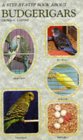 stepbudgie.jpg (5405 bytes)