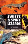 swifts.jpg (7765 bytes)