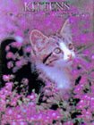 1880908301.01.MZZZZZZZ.jpg (6466 bytes)