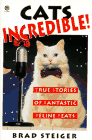 catsincred.gif (5263 bytes)