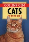 catsphoto.jpg (5568 bytes)