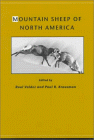 0816518394.01.MZZZZZZZ.gif (15718 bytes)
