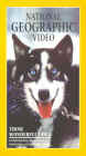 thosewonderfuldogs (9281 bytes)