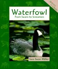 fromswans.jpg (6792 bytes)